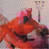 [Anti-Pop Consortium vs. Matthew Shipp]