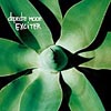 [Exciter]
